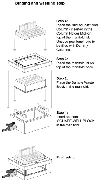 NucleoSpin binding and washing step