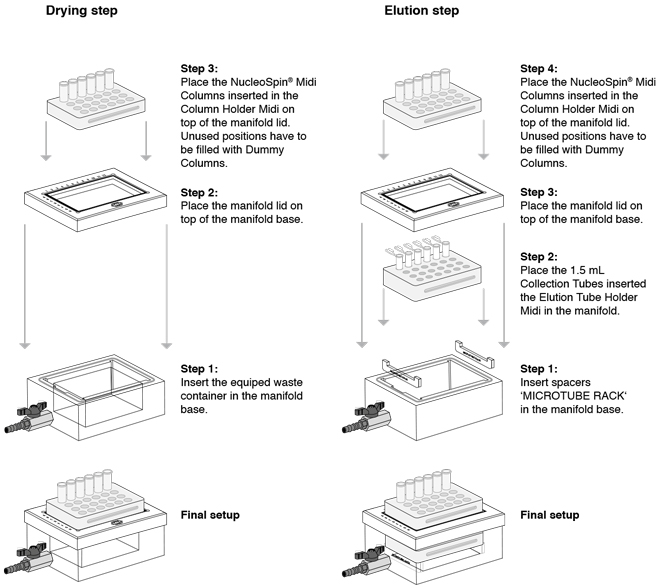 NucleoSpin drying step