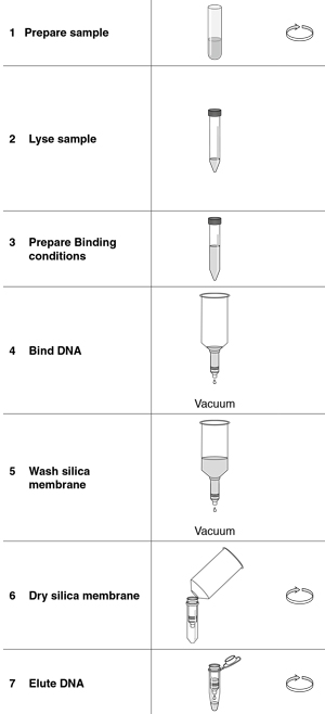 NucleoSnap DNA Plasma