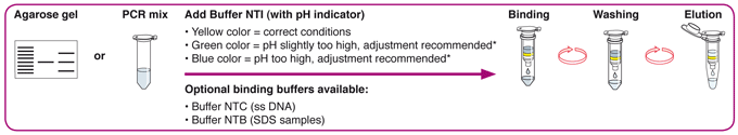 NucleoSpin Gel and PCR Clean-up procedure  