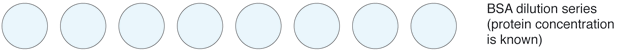 BSA dilution series (protein concentration is known)