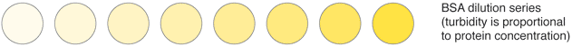 BSA dilution series (turbidity is proportional to protein concentration)