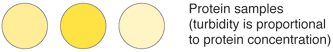 Protein samples (turbidity is proportional to protein concentration)