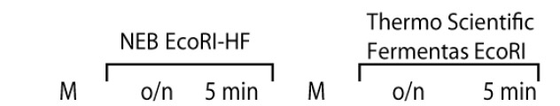 Roche Restriction Enzymes Buffer Chart