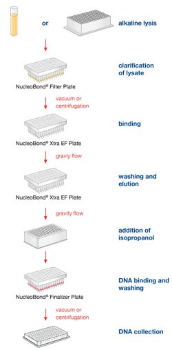 NucleoBond® 96 Xtra EF procedure 