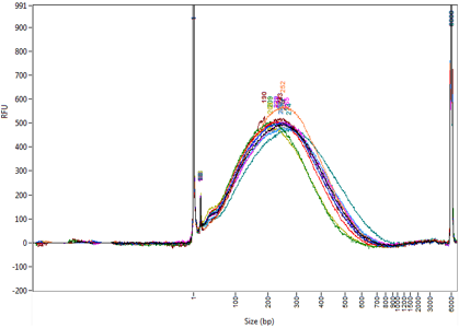 NA12878 (Platinum Genome) DNA Shearing