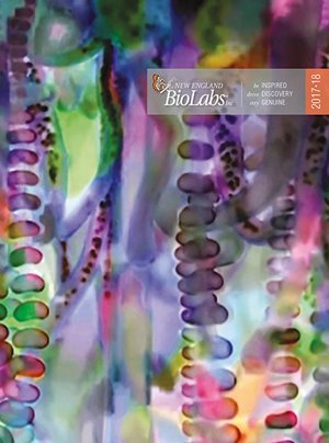 New NEB Catalog 2017/2018 by BIOKE. The must-have for every molecular biology lab.