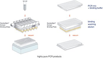 NucleoSpin 8/96 PCR Clean-up